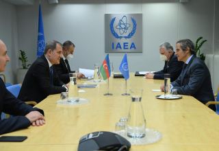 Azerbaijan's FM meets with head of IAEA in Vienna (PHOTO)