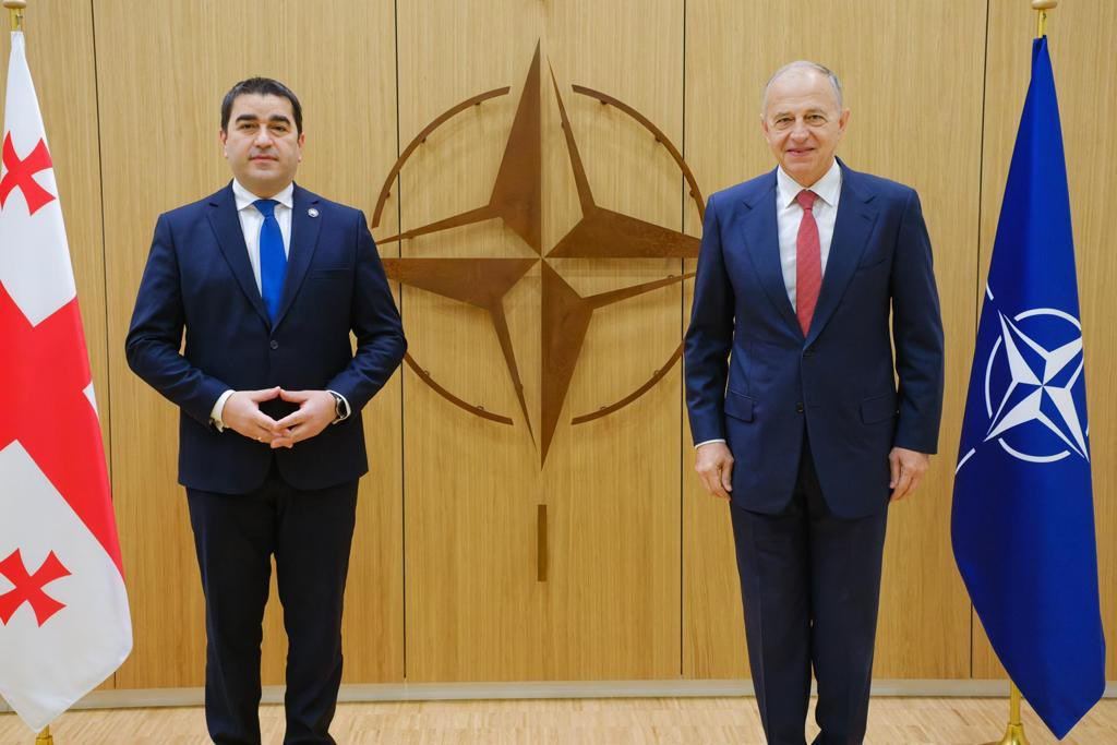 Georgian Parliament Speaker meets NATO Deputy SG