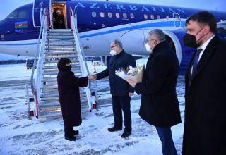 Official visit of delegation of Azerbaijani parliament to Baltic countries begins (PHOTO)