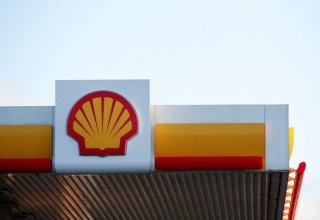Shell приостановит работу сети АЗС в России