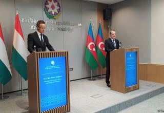 Number of Azerbaijan-Hungary flights may be increased - minister
