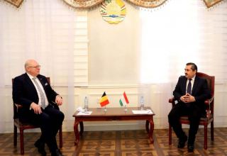 Deputy Foreign Minister of Tajikistan receives copies of credentials from Ambassador of Belgium