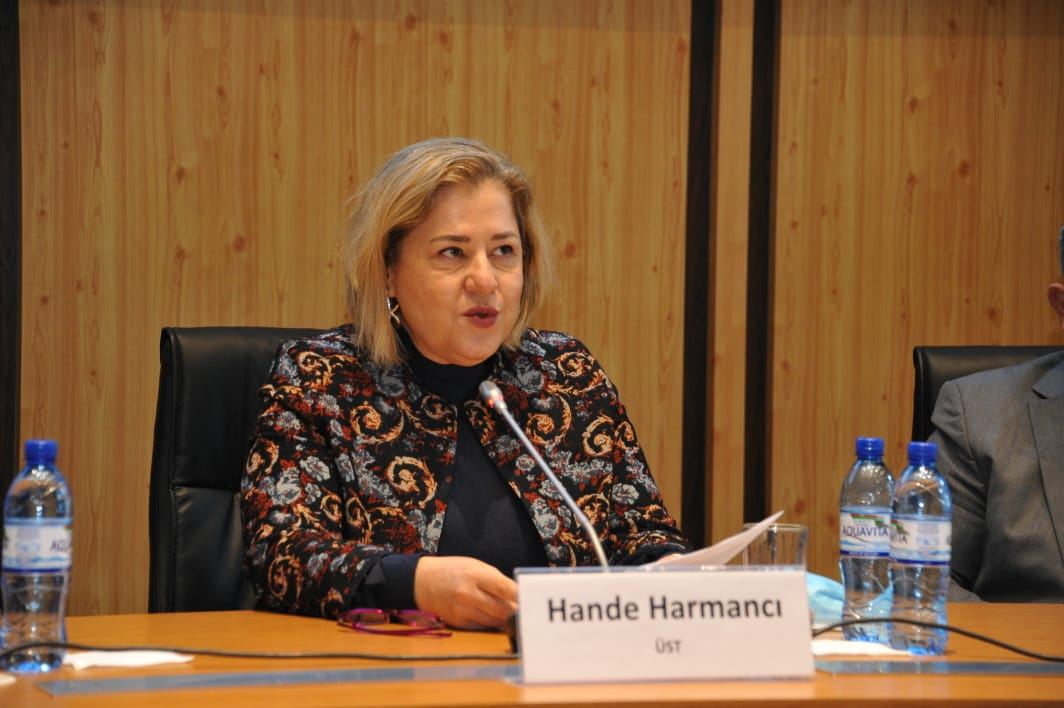 В Азербайджан планируется доставить тесты для диагностирования оспы обезьян - Ханде Харманджи