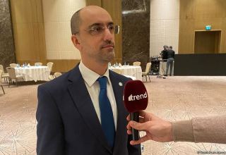 Azerbaijan developing national strategy on information, cybersecurity - official