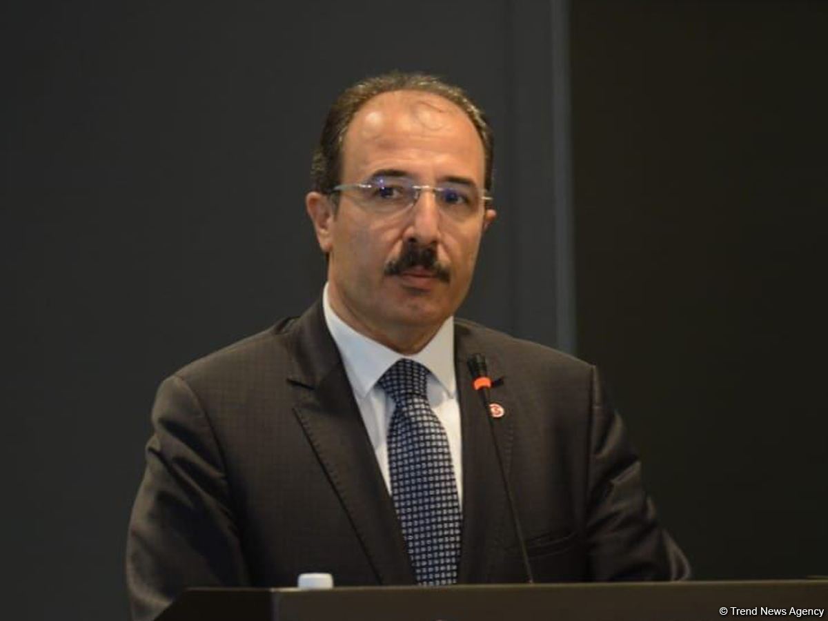 Граждане Турции, проживающие в Азербайджане, могут голосовать в консульствах - Джахит Багчи