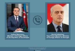 Azerbaijan ready to render assistance to Georgia if necessary - FM