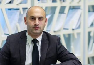 Azerbaijani businesses account for major number of companies registered in Poti FIZ - CEO (Interview) (VIDEO)