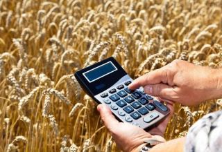 Kazakhstan to transfer subsidy system in agro-industrial complex into digital format