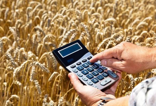 Guaranteed wheat purchasing in Iran’s Zanjan Province doubles