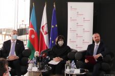В Баку представлен проект, посвященный культурному наследию Польши в Азербайджане (ФОТО)