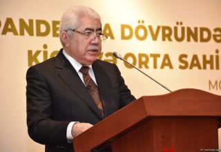 Azerbaijani government cooperating with SMBDA to create new business support tools