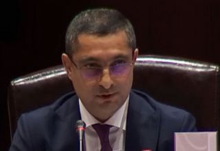 На протяжении 30 лет Азербайджан пытался привлечь ЮНЕСКО для мониторинга и оценки состояния культурного наследия, но безуспешно - депутат