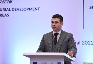 В Азербайджане ведется работа по созданию Фонда развития МСБ - Орхан Мамедов