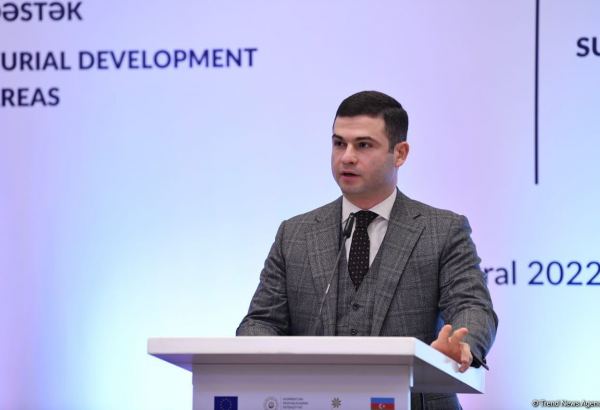 В Азербайджане ведется работа по созданию Фонда развития МСБ - Орхан Мамедов