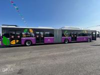 Paytaxta daha 50 ədəd yeni avtobus gətirilib (FOTO)