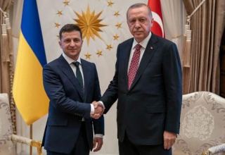 Türkiyə və Ukrayna prezidentləri arasında teıefon danışığı baş tutub