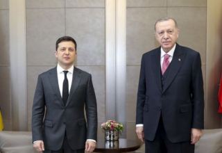 Erdogan, Zelenskyy discuss latest situation in Russia talks