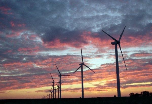 Грузия и турецкая Calik Energy обсудили вопрос строительства ветроэлектростанции