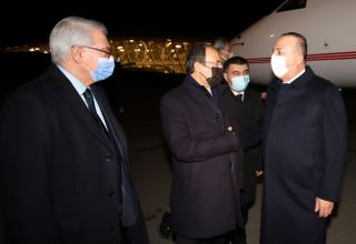 Глава МИД Турции прибыл с визитом в Азербайджан (ФОТО)