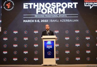 Steps should be taken to popularize chovgan worldwide - World Ethnosport Confederation's president