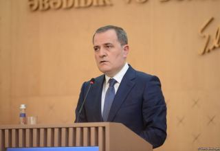 Economic relations between Azerbaijan, Turkey - at high level, FM says