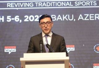 Национальные виды спорта в Азербайджане будут и далее развиваться - министр