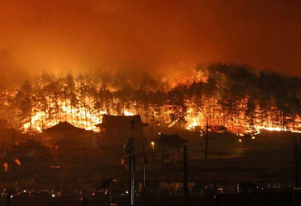 Algeria wildfires burned UNESCO-listed park