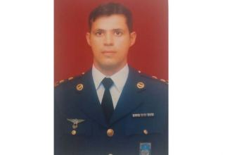 Lieutenant Colonel of Azerbaijani Air Force given status of martyr