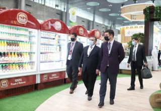 Азербайджанская продукция представлена на международной выставке в Катаре (ФОТО)