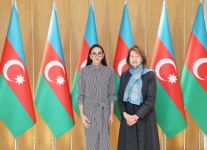 First Vice-President Mehriban Aliyeva meets with UK Prime Minister's Trade Envoy to Azerbaijan (PHOTO/VIDEO)