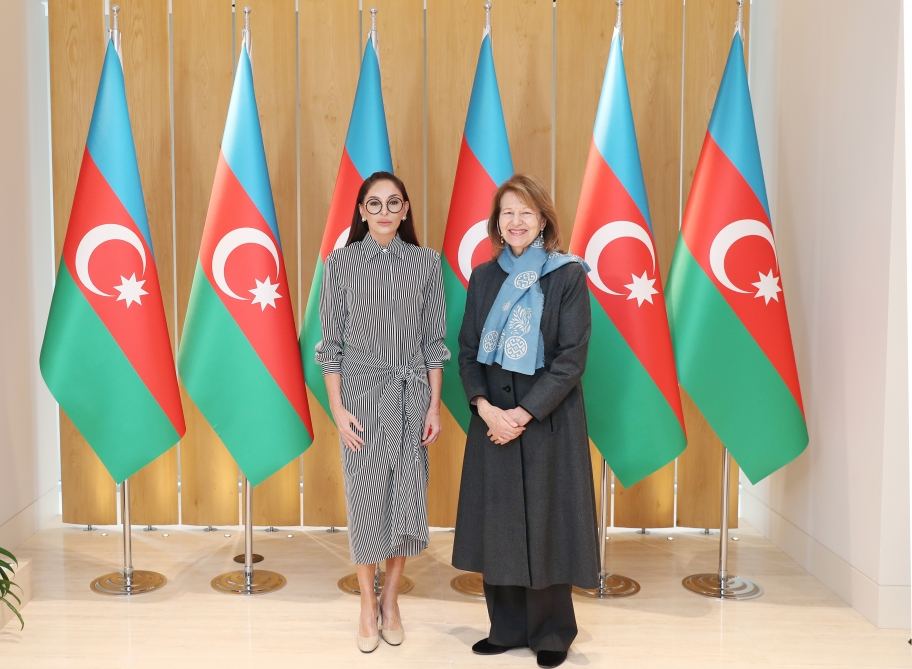 First Vice-President Mehriban Aliyeva meets with UK Prime Minister's Trade Envoy to Azerbaijan (PHOTO/VIDEO)