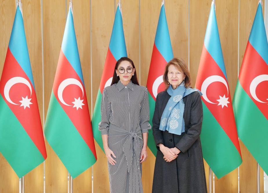 First Vice-President Mehriban Aliyeva meets with UK Prime Minister's Trade Envoy to Azerbaijan (PHOTO/VIDEO)