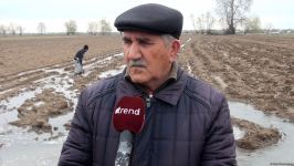 Агдамские фермеры поблагодарили Президента Ильхама Алиева за ускоренные работы по организации процесса орошения - Репортаж Trend TV