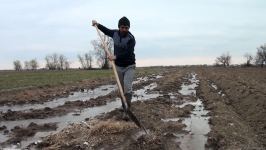 Azerbaijan’s Aghdam farmers express gratitude to President Ilham Aliyev for rapid work on irrigation - Trend TV report