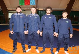 Еще два азербайджанских борца стали чемпионами Европы (ФОТО)