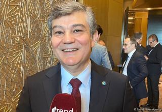 Системы страхования тюркских государств будут интегрированы - создается новая федерация