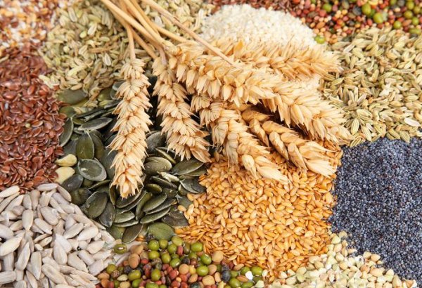 Kyrgyzstan addresses seed import issues to boost agricultural production