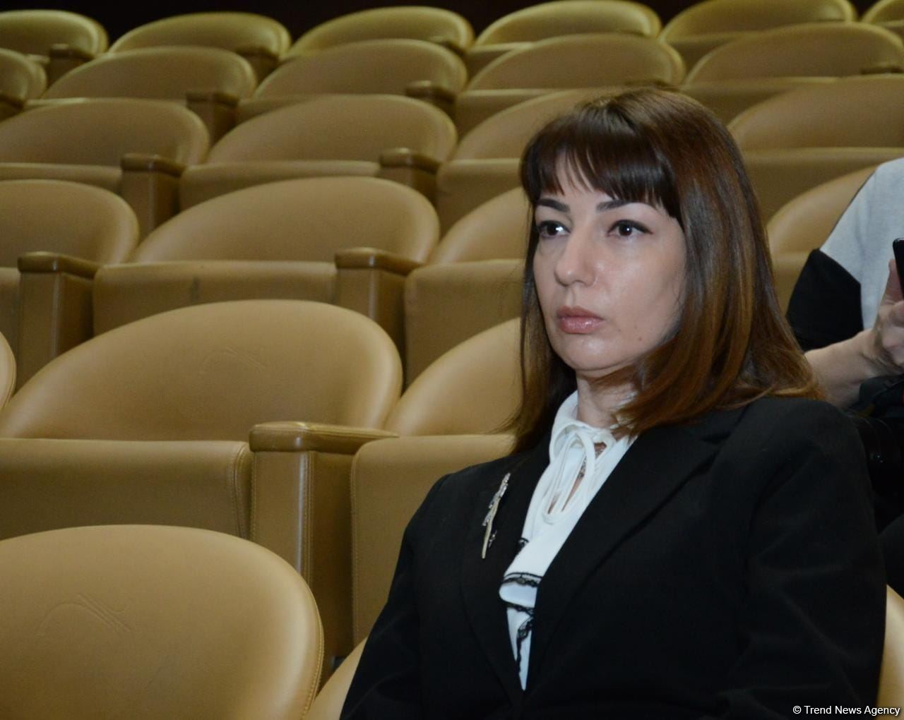 Azerbaijani minister talks about cultural project related to Shusha (PHOTO)