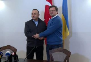 Turkey's FM meets Ukrainian FM