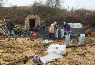 Meşələrdə qanunsuz kömür istehsal edən ocaqxanaların işi dayandırılıb (FOTO/VİDEO)