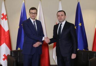 Georgian, Polish PMs discussed regional challenges and EU integration issues