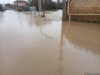 В Масаллы вышедшая из берегов река затопила село (ФОТО/ВИДЕО)