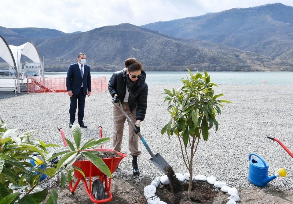 Президент Ильхам Алиев заложил фундамент туристического комплекса в Суговушане (ФОТО/ВИДЕО)