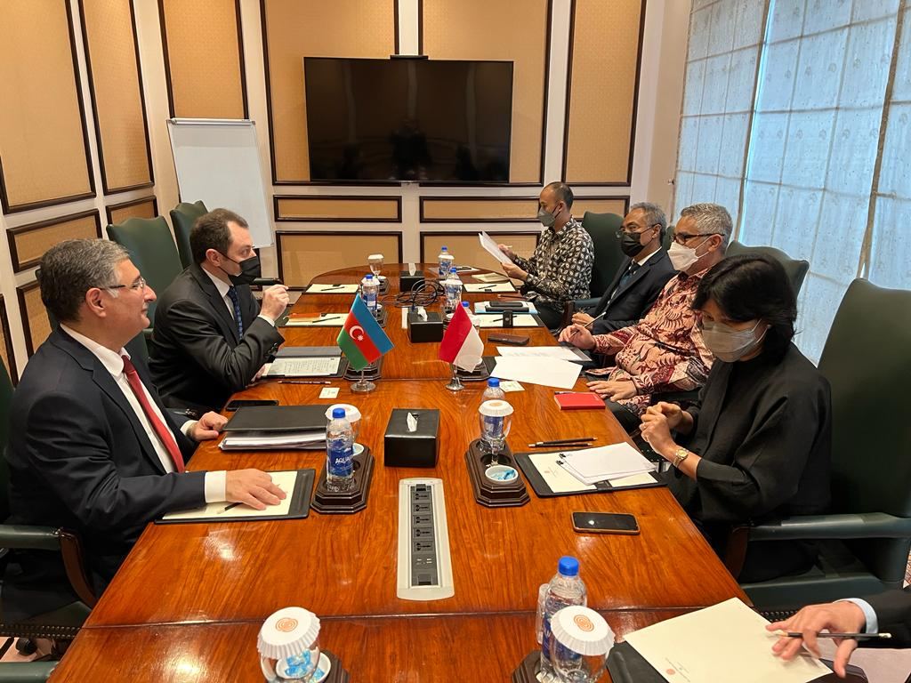 Замминистра иностранных дел Азербайджана провел ряд встреч в Пакистане (ФОТО)