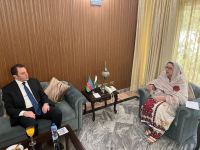 Замминистра иностранных дел Азербайджана провел ряд встреч в Пакистане (ФОТО)