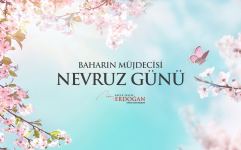 Эрдоган поделился публикацией в связи с праздником Новруз (ФОТО)