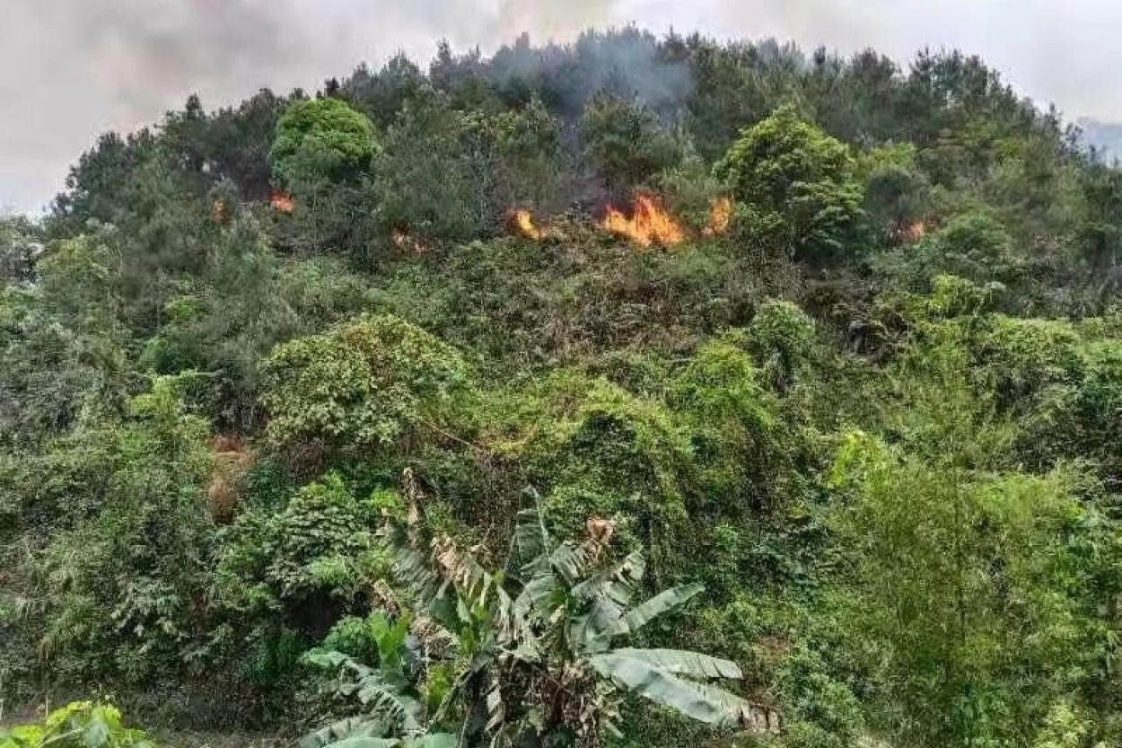 В Португалии потерпел крушение пожарный самолет