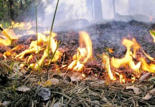 Во Франции пожарный признался в нескольких поджогах леса