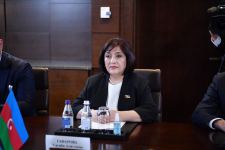 Sahibə Qafarova Qazaxıstan Parlamenti Senatının sədri ilə görüşüb (FOTO)