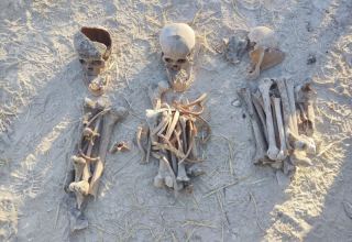 Xocalı rayonunun Fərrux kəndində insan skeletləri aşkar edilib (FOTO)